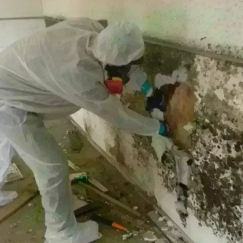 Mold Remediation and Removal in Verdigris, OK