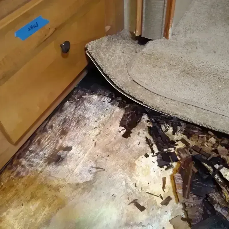 Best Wood Floor Water Damage Service in Verdigris, OK